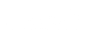NeuroStar Logo White